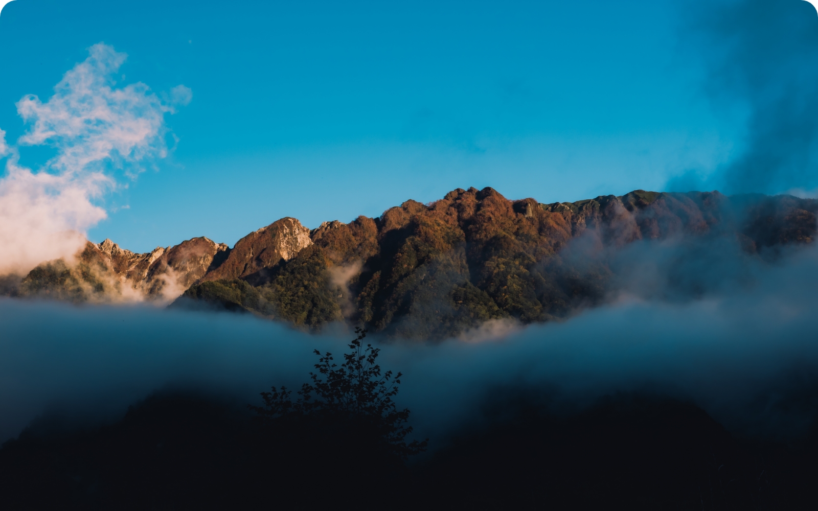 about 2 background image