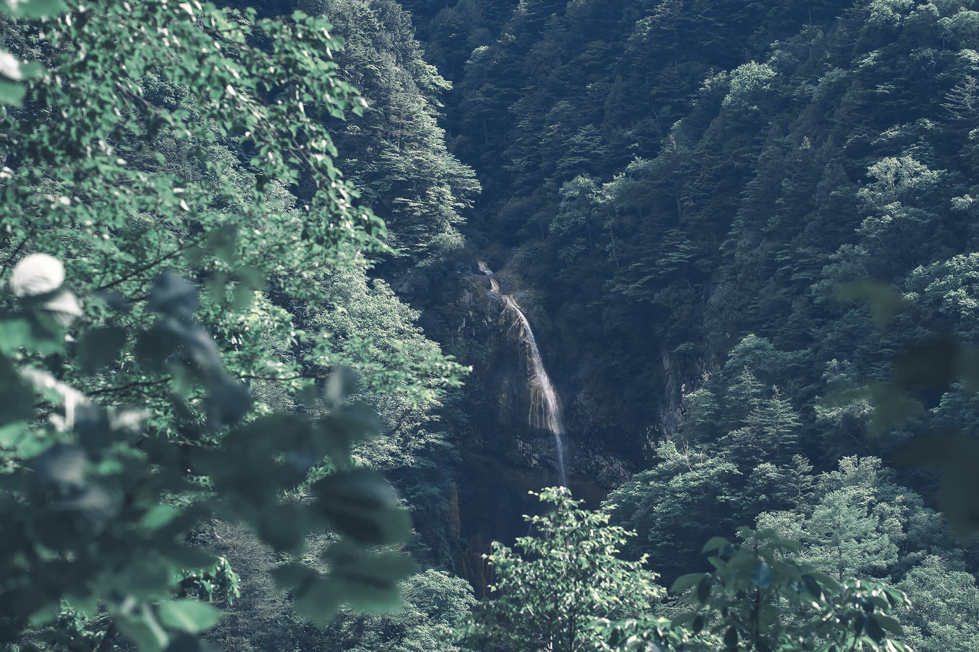 top story section image 4