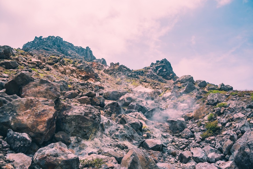 Section 1 image